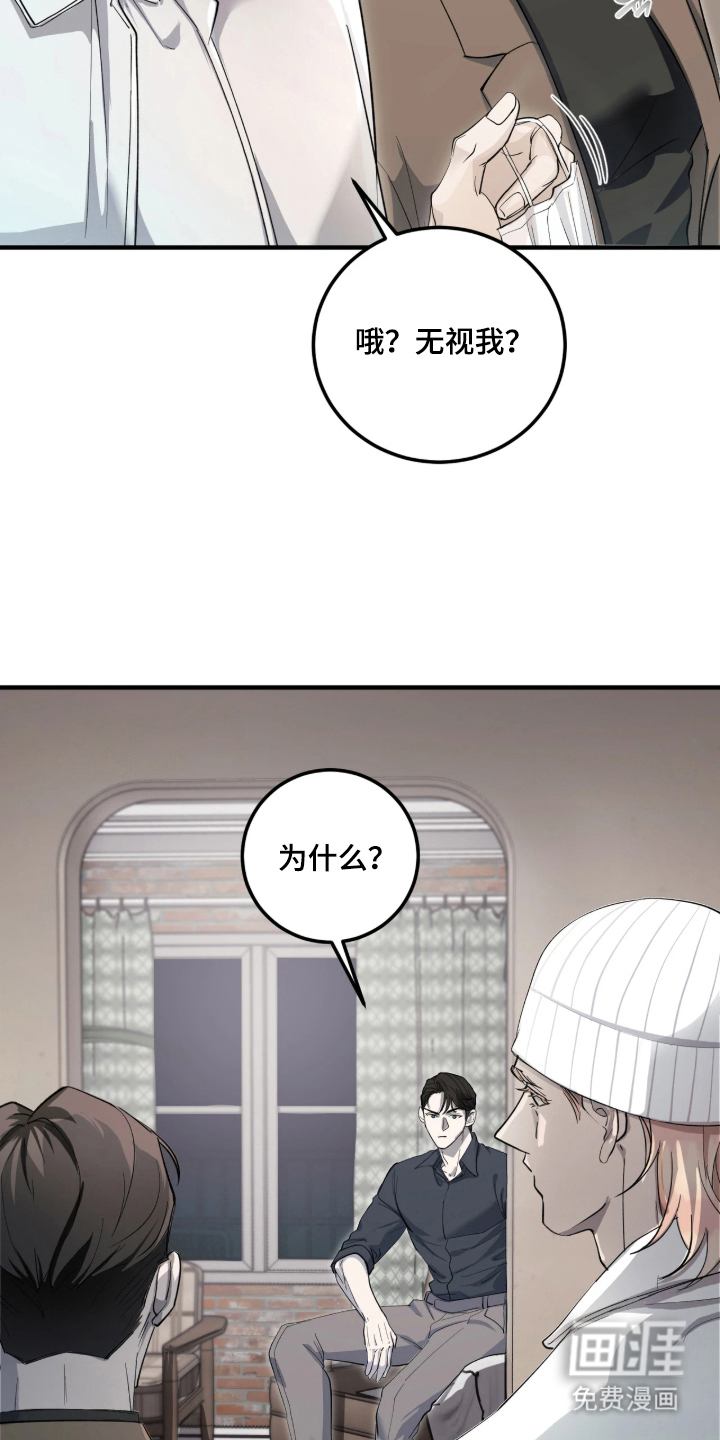 第4话：第4章：复杂的隐情预览分镜