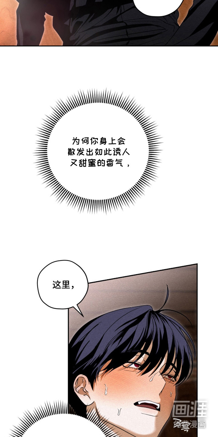 第8话：第8章：奇怪的感觉预览分镜