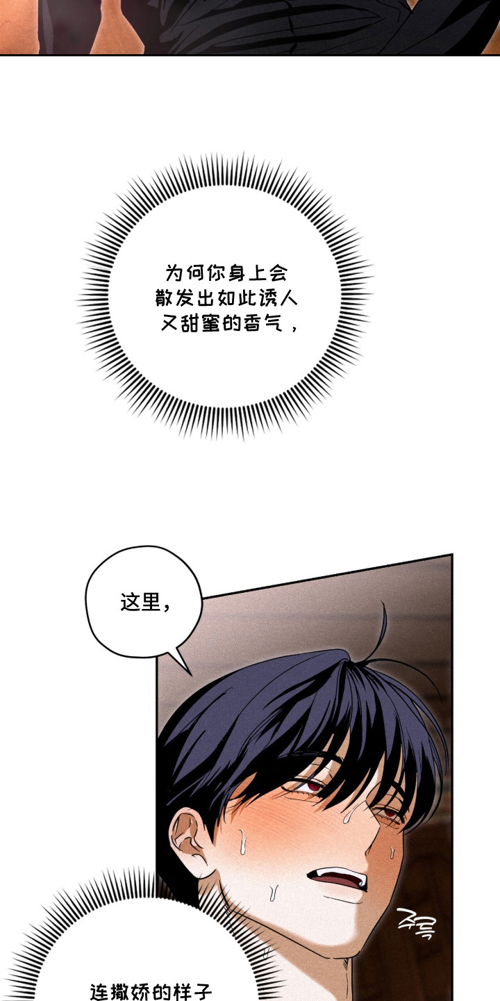 第8话：第8章：奇怪的感觉预览分镜