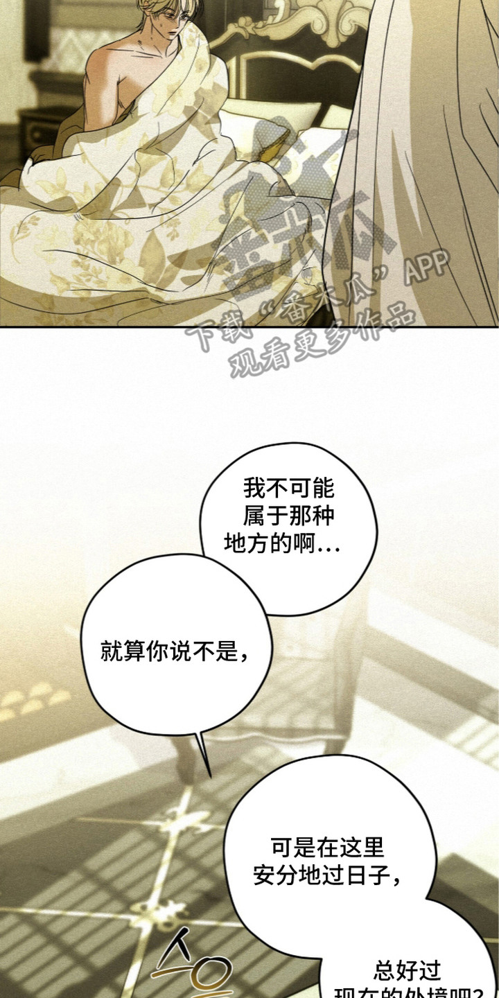 第12话：第12章：宅子的主人预览分镜