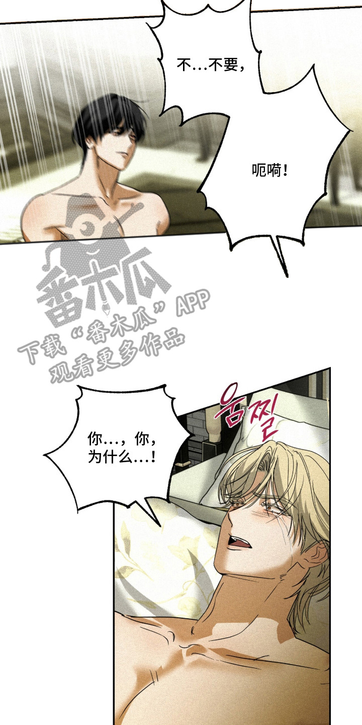 第13话：第13章：共度余生预览分镜