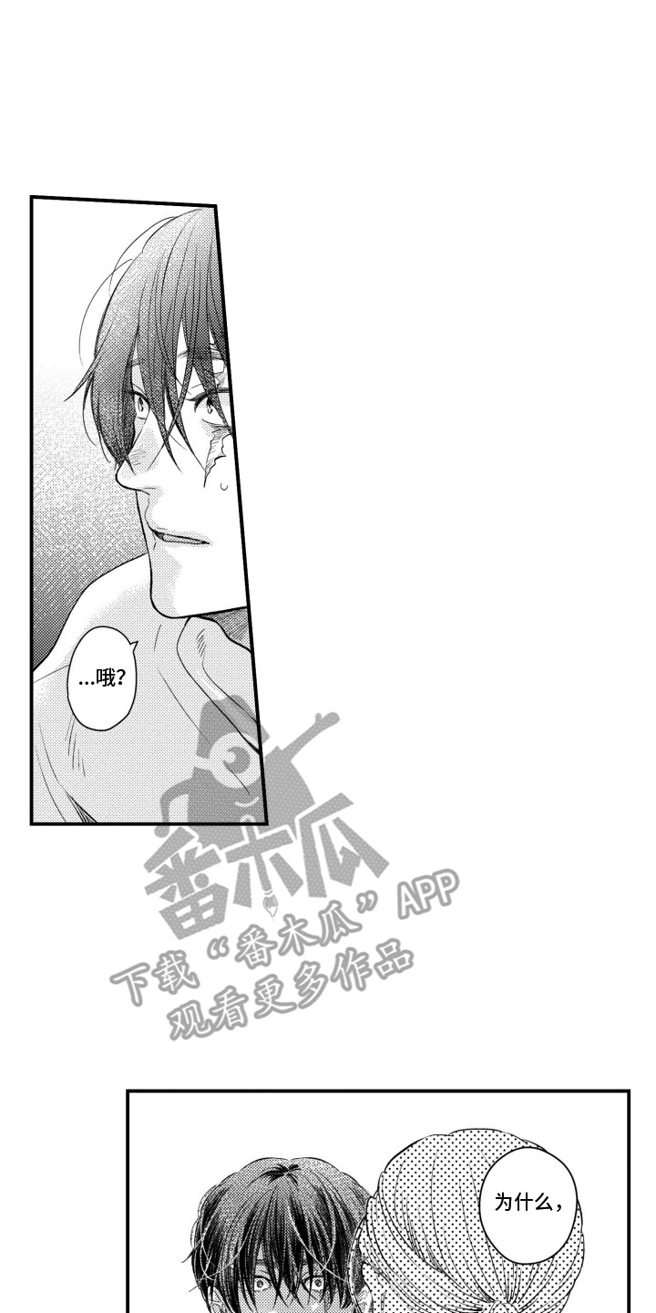 第13话：第13章：表白预览分镜