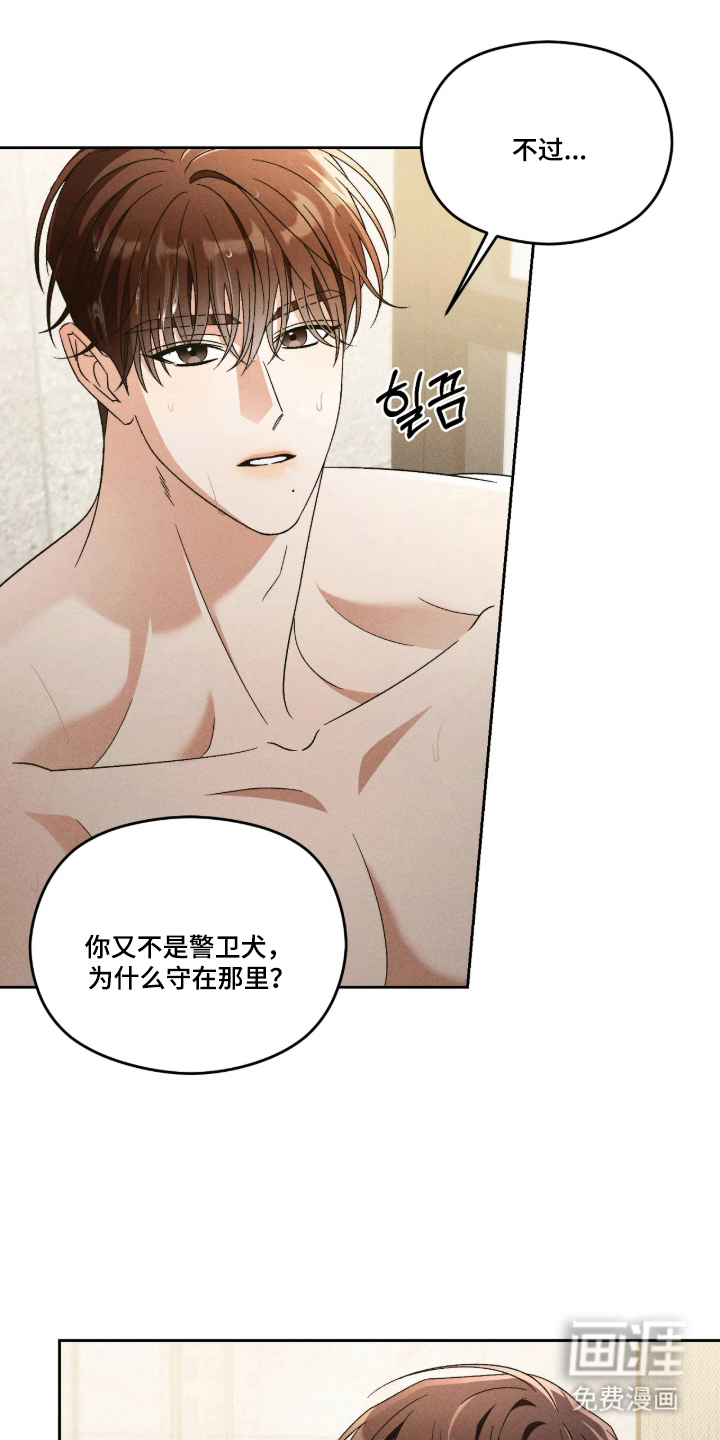 第12话：第12章：我在做什么预览分镜