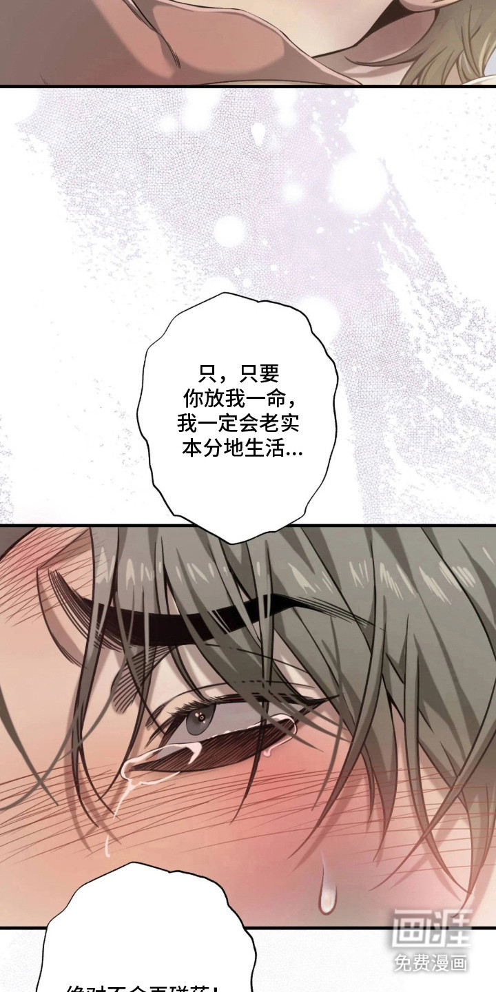 第12话：第12章：求饶预览分镜