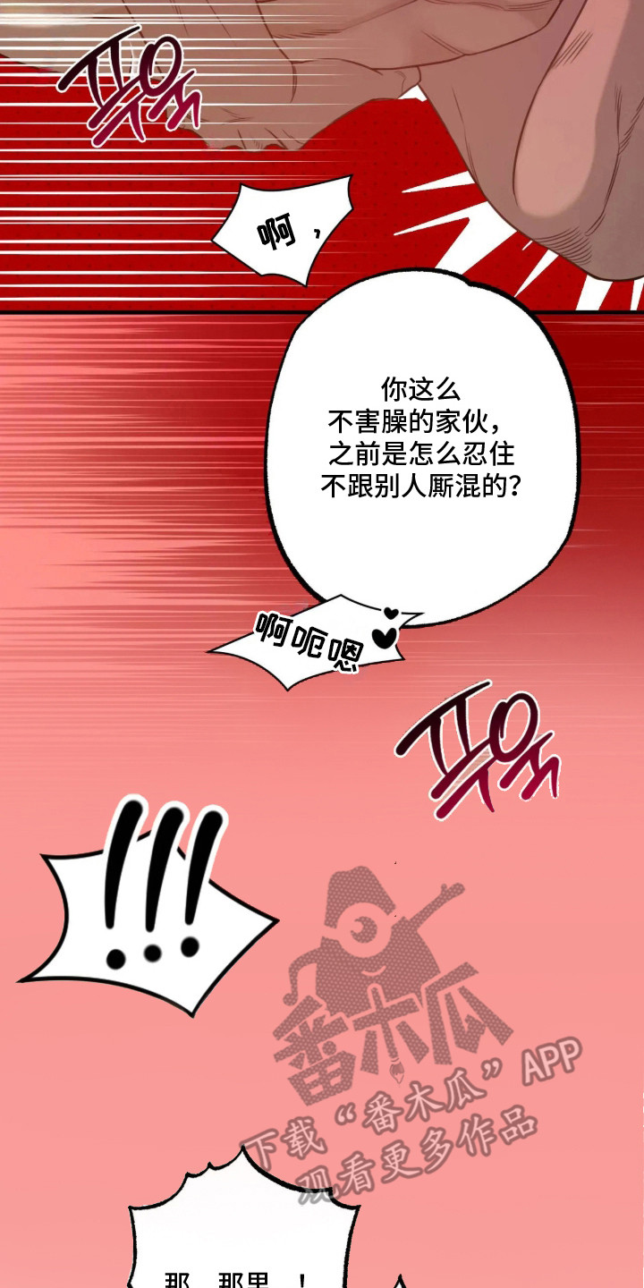 第11话：第11章：好奇预览分镜