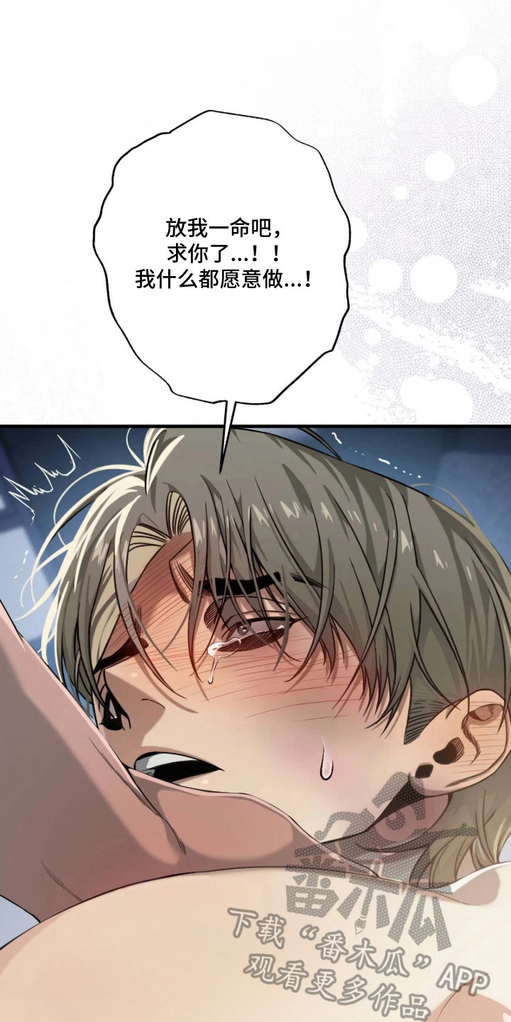 第12话：第12章：求饶预览分镜