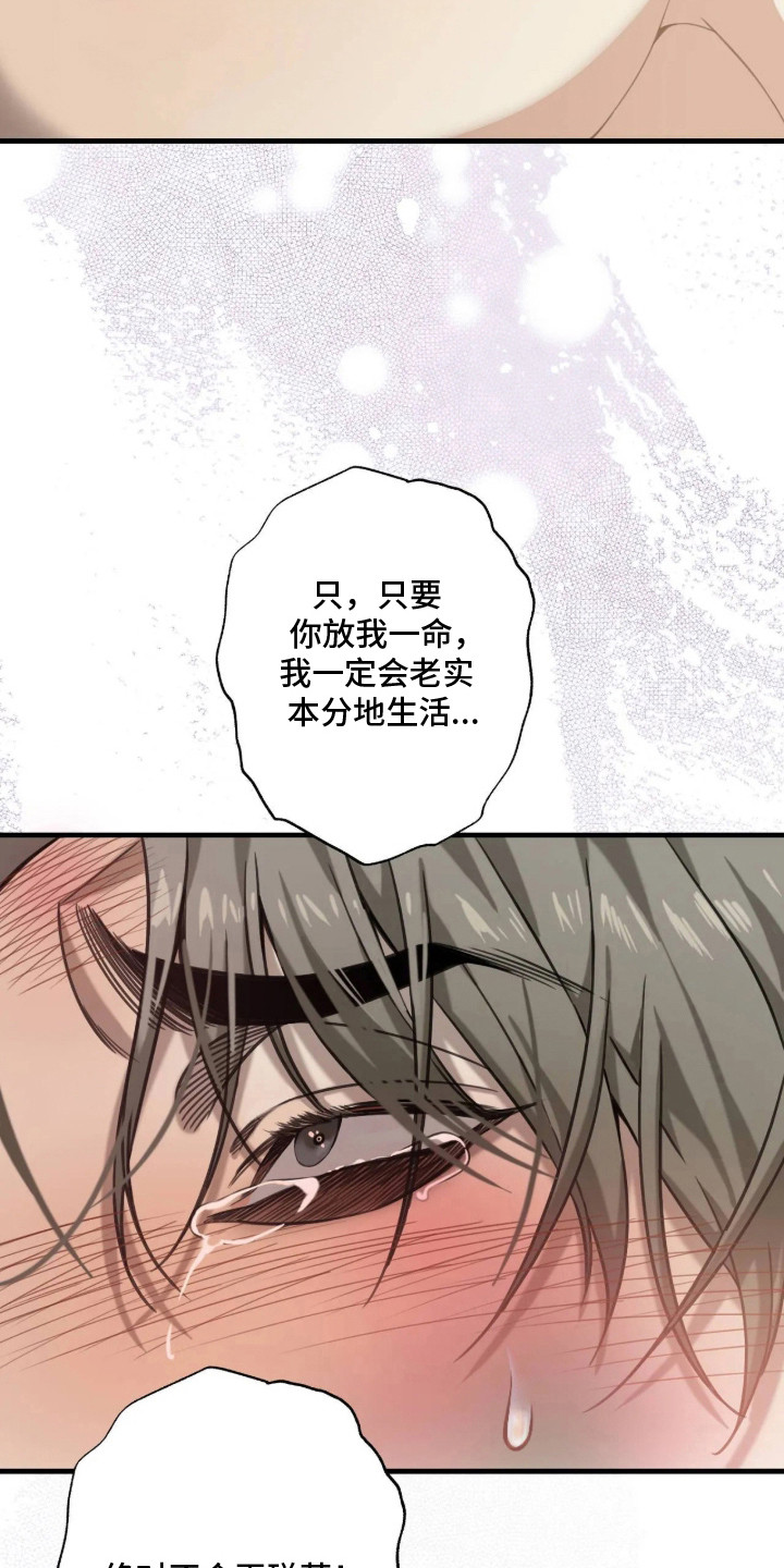第12话：第12章：求饶预览分镜