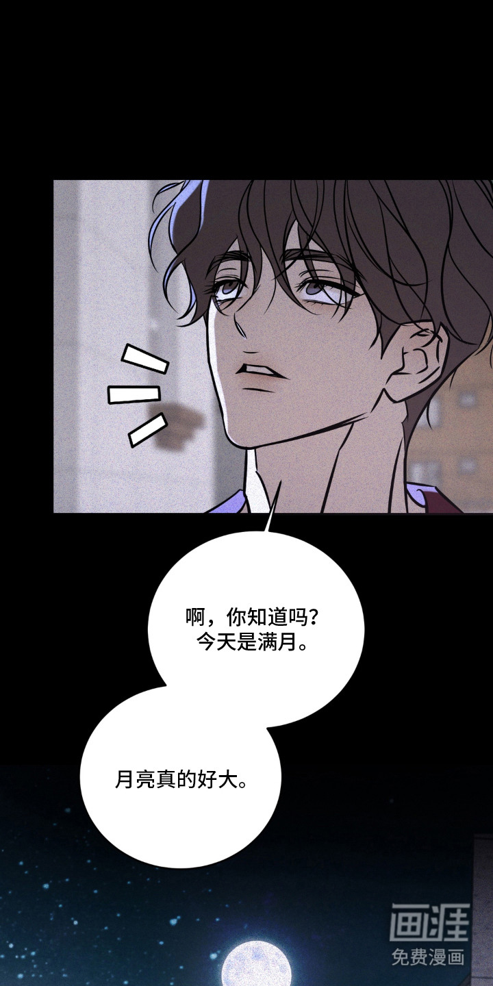 第17话：第17章：不自量力预览分镜