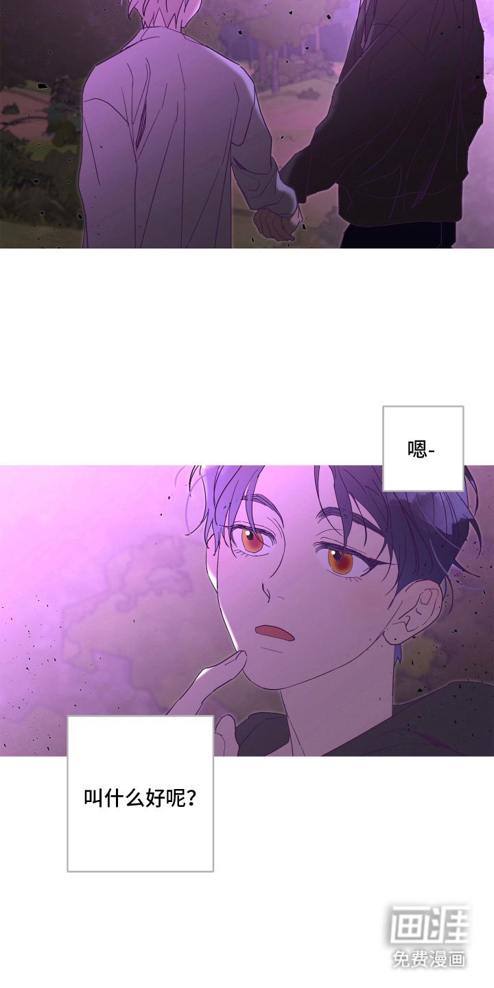 第4话：第4章：疏导预览分镜