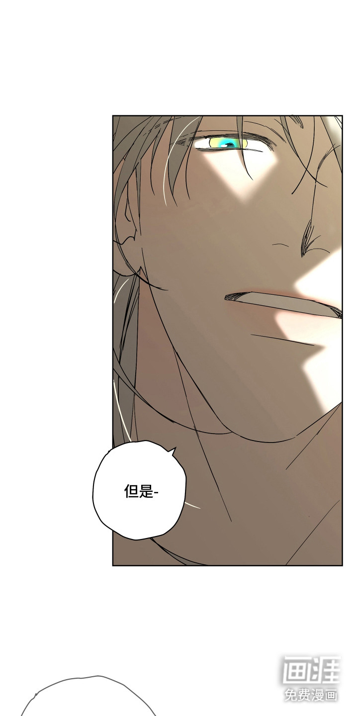 第15话：第15章：护犊子预览分镜