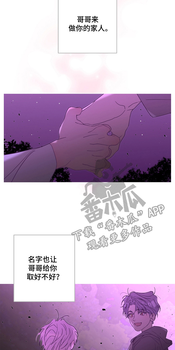 第4话：第4章：疏导预览分镜