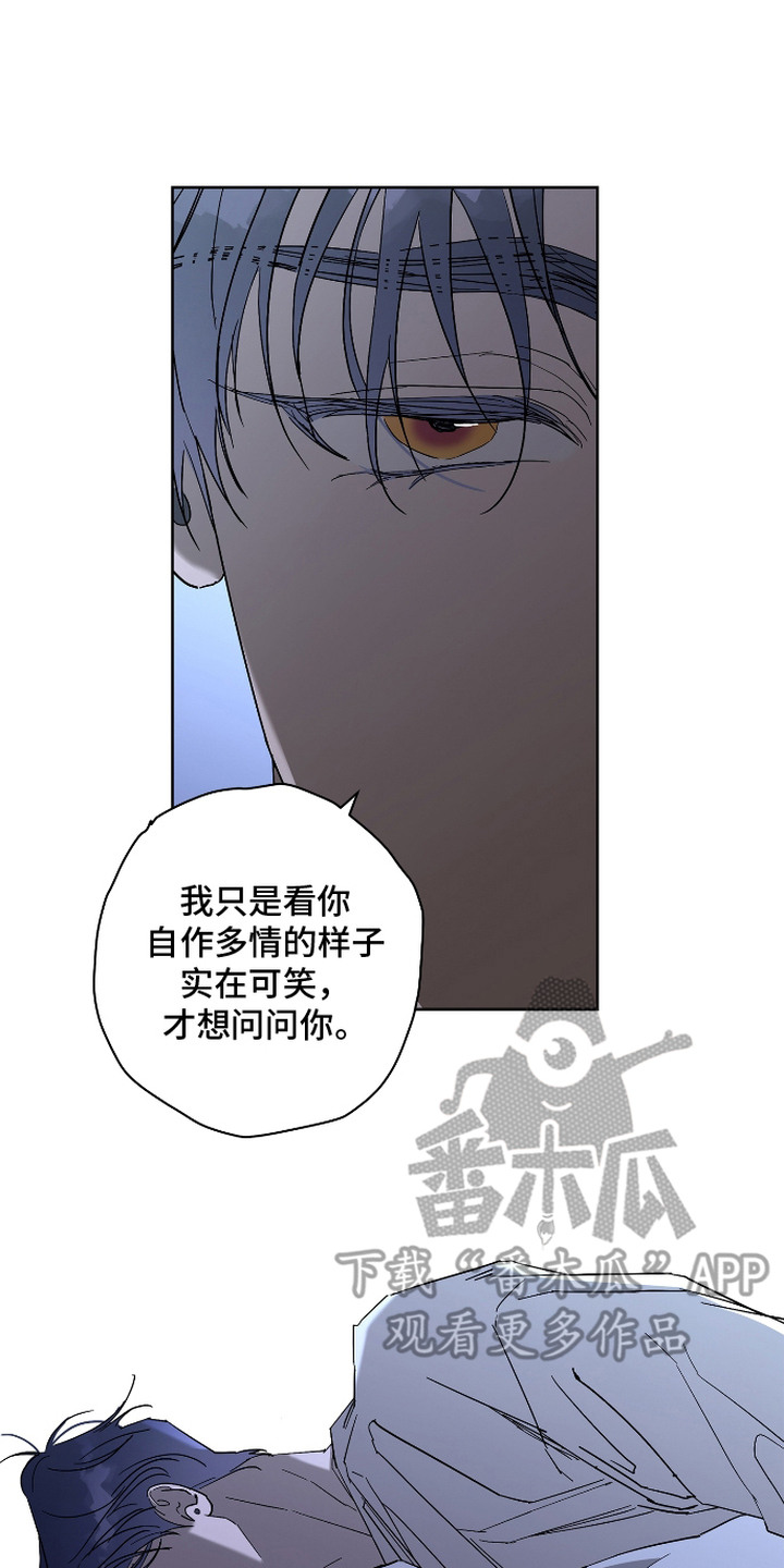 第6话：第6章：命定之人预览分镜