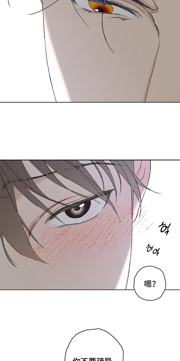 第14话：第14章：外派任务预览分镜