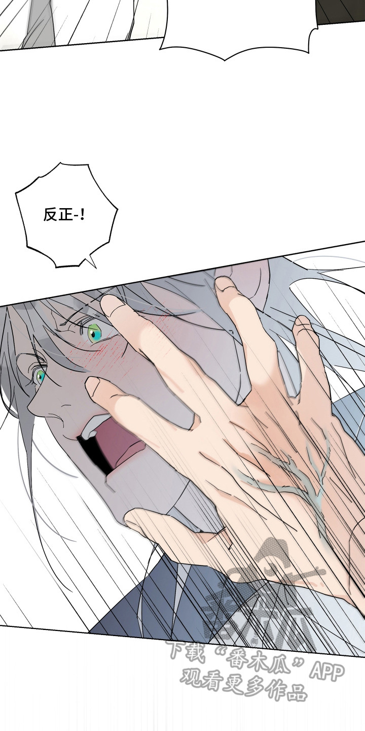 第17话：第17章：护犊子预览分镜