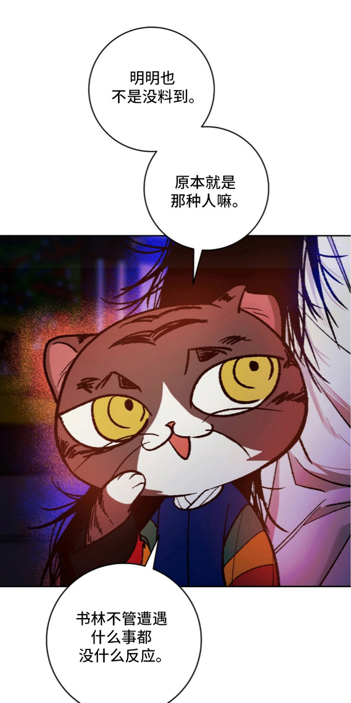 第10话：第10章：期望预览分镜