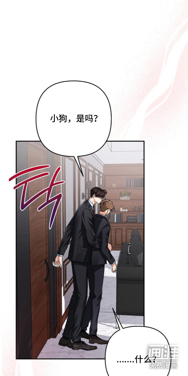 第10话：第10章：奖励小狗预览分镜