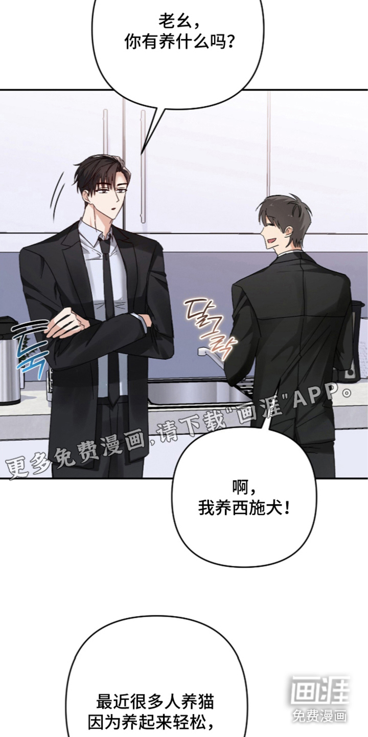 第11话：第11章：我的大型犬（完结）预览分镜