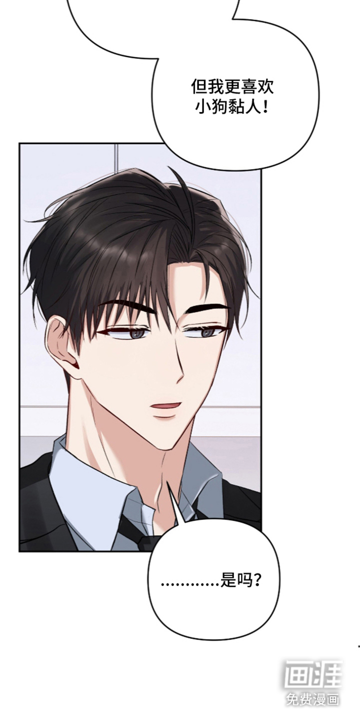 第11话：第11章：我的大型犬（完结）预览分镜