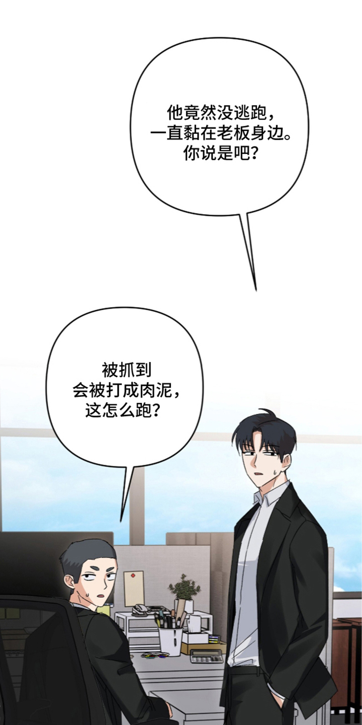 第11话：第11章：我的大型犬（完结）预览分镜