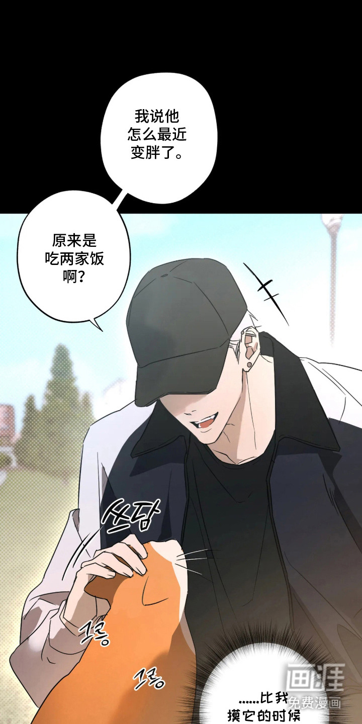 第4话：第4章：疯子一般预览分镜