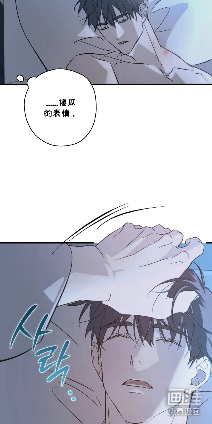 第6话：第6章：感到混乱预览分镜