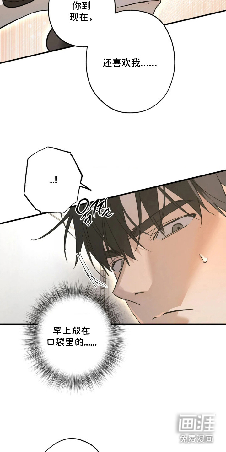 第10话：第10章：解释预览分镜