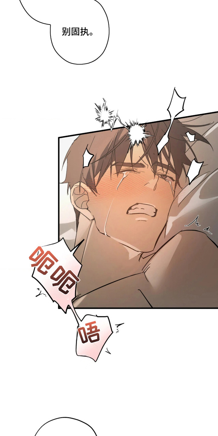 第6话：第6章：固执预览分镜