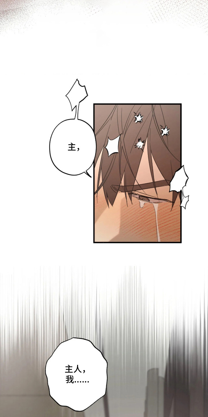 第7话：第7章：感到混乱预览分镜