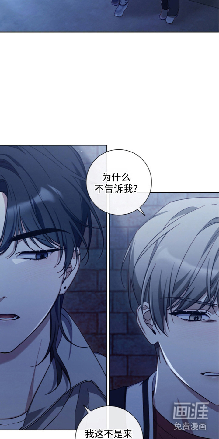 第14话：第14章：解释预览分镜