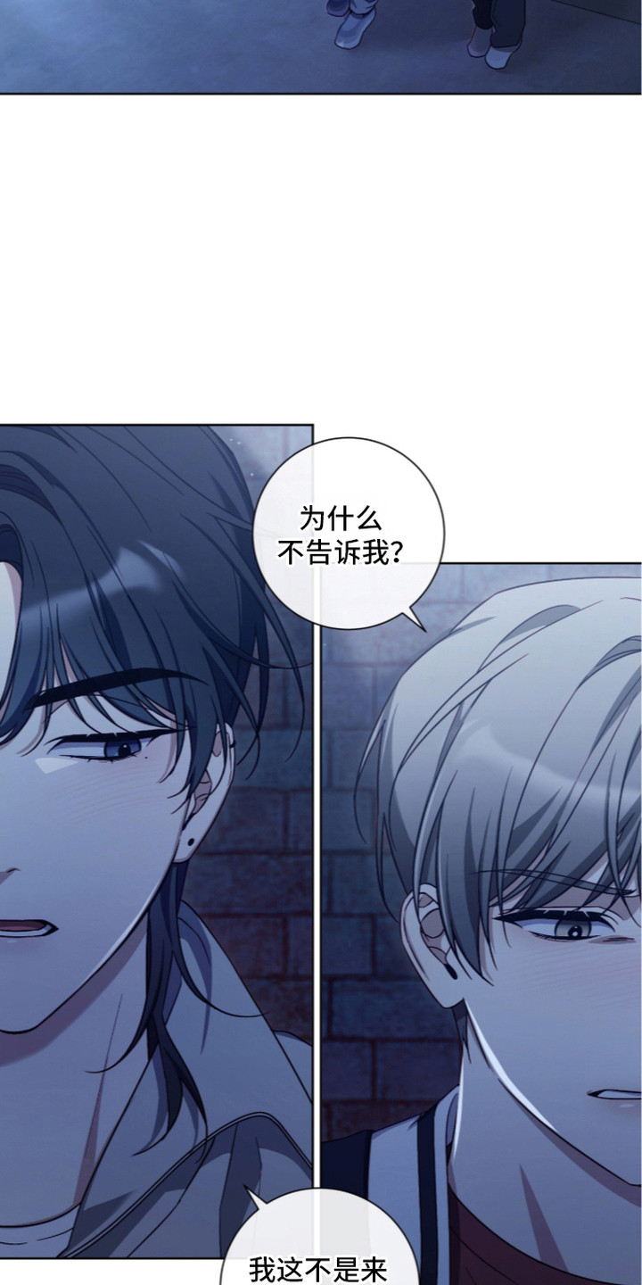 第14话：第14章：解释预览分镜