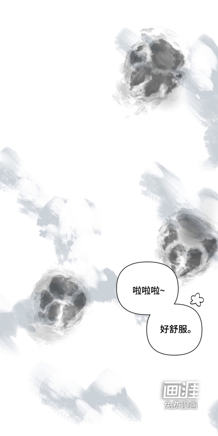 第4话：第4章：回家吧预览分镜
