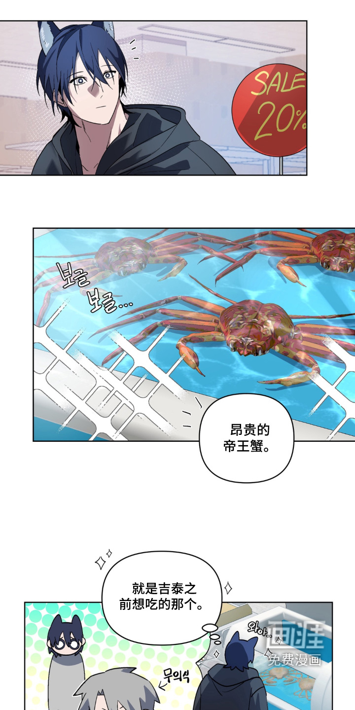 第5话：第5章：总有一天预览分镜