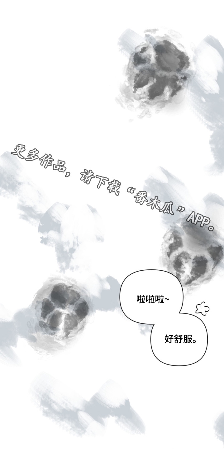 第4话：第4章：回家吧预览分镜