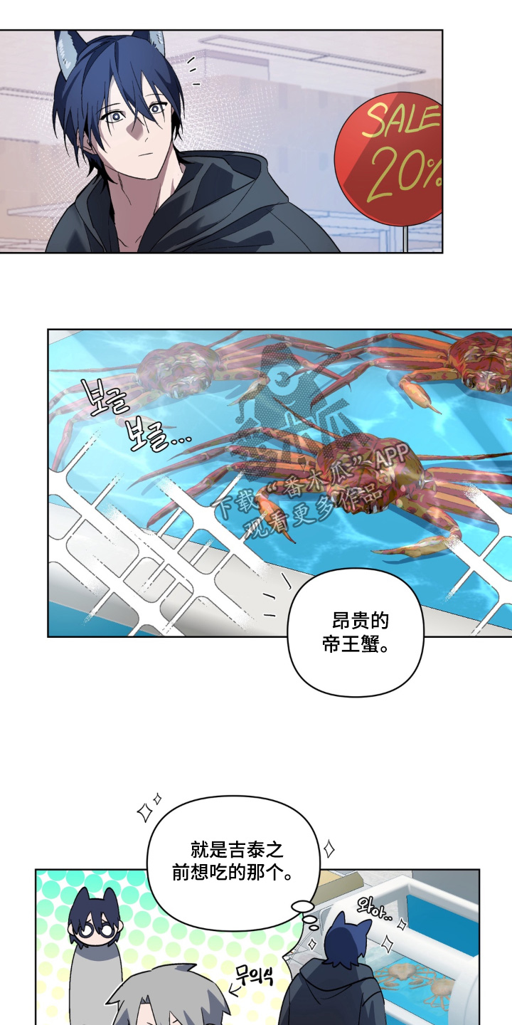 第5话：第5章：总有一天预览分镜