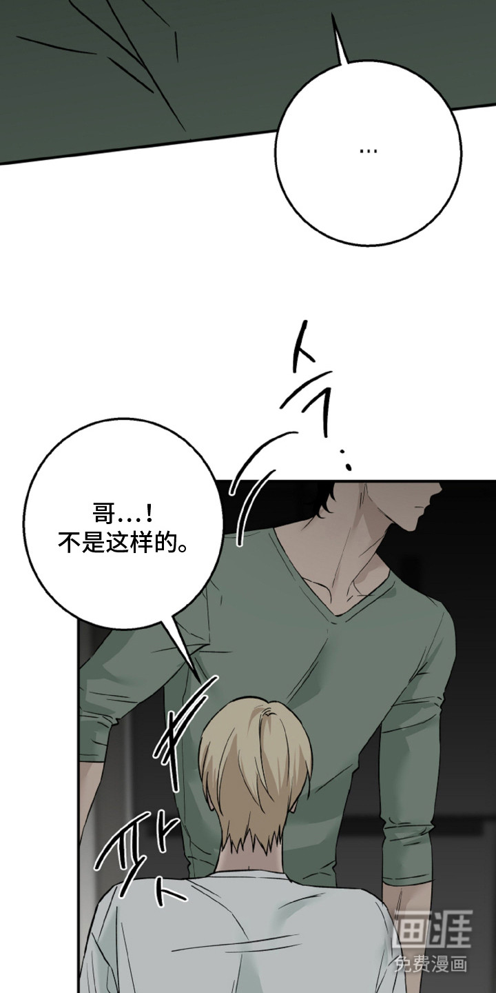 第14话：第14章：诚实原液预览分镜