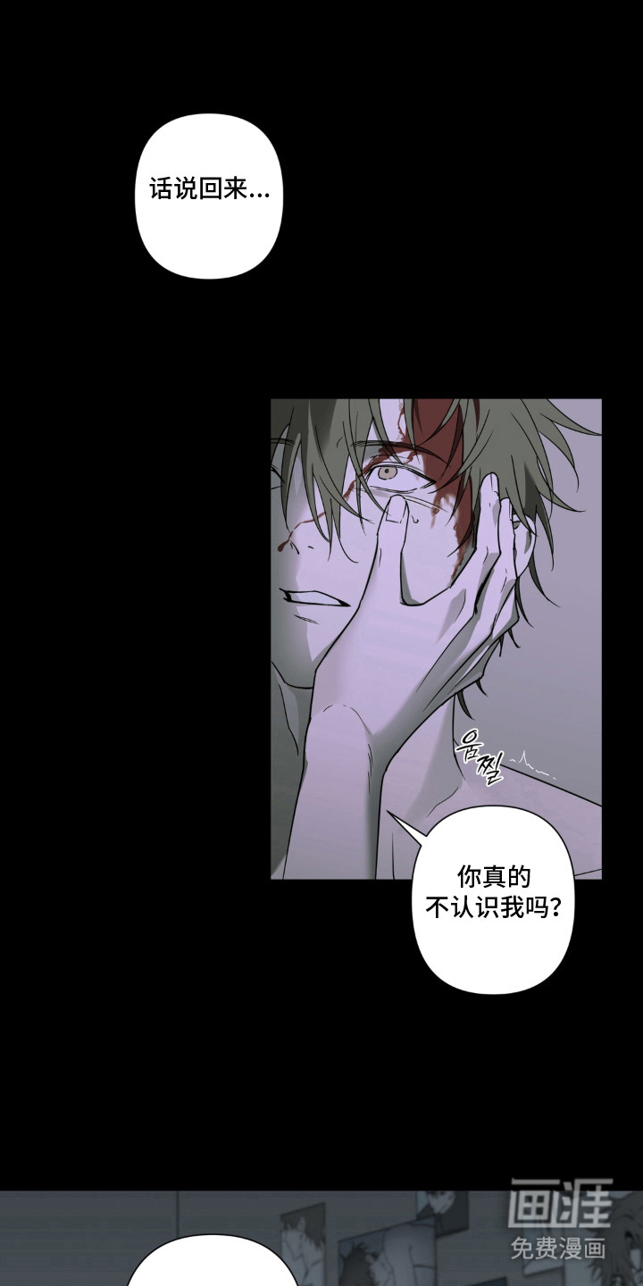 第7话：第7章：真漂亮预览分镜