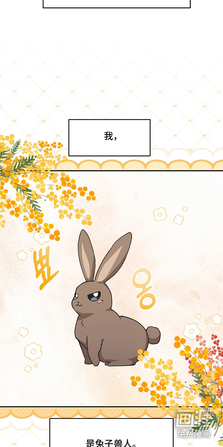 第1话：第1章：兔子兽人预览分镜