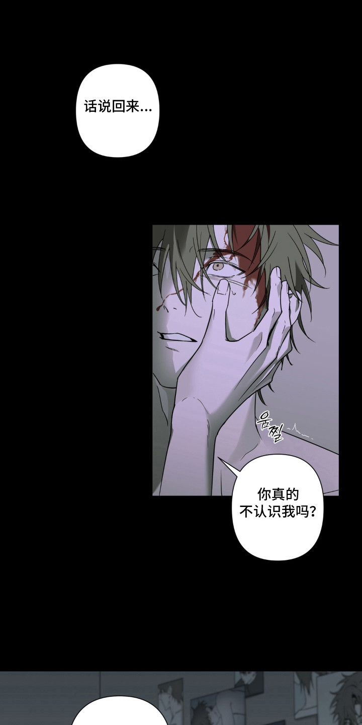 第7话：第7章：真漂亮预览分镜