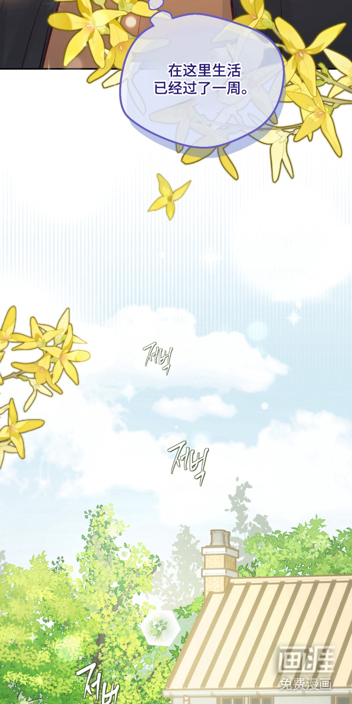 第4话：第4章：创造预览分镜