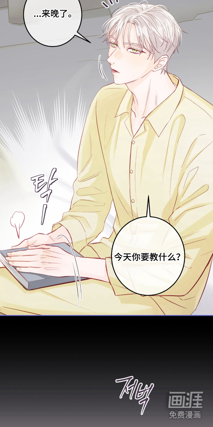 第16话：第16章：不错的表情预览分镜