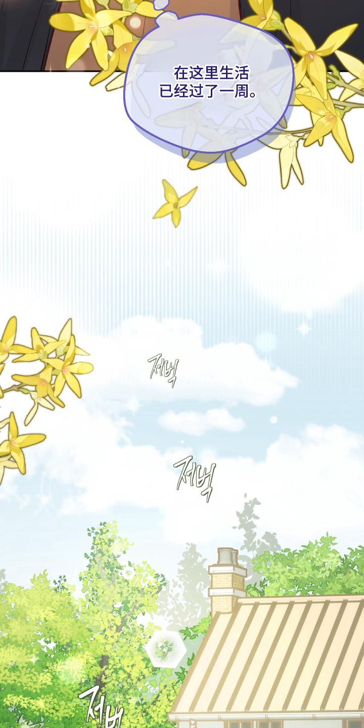 第4话：第4章：创造预览分镜