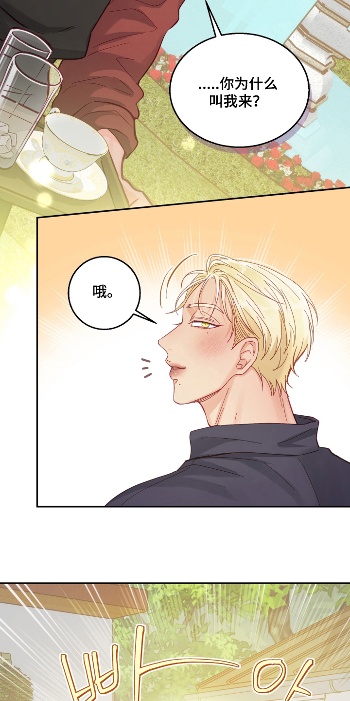 第14话：第14章：是什么关系预览分镜