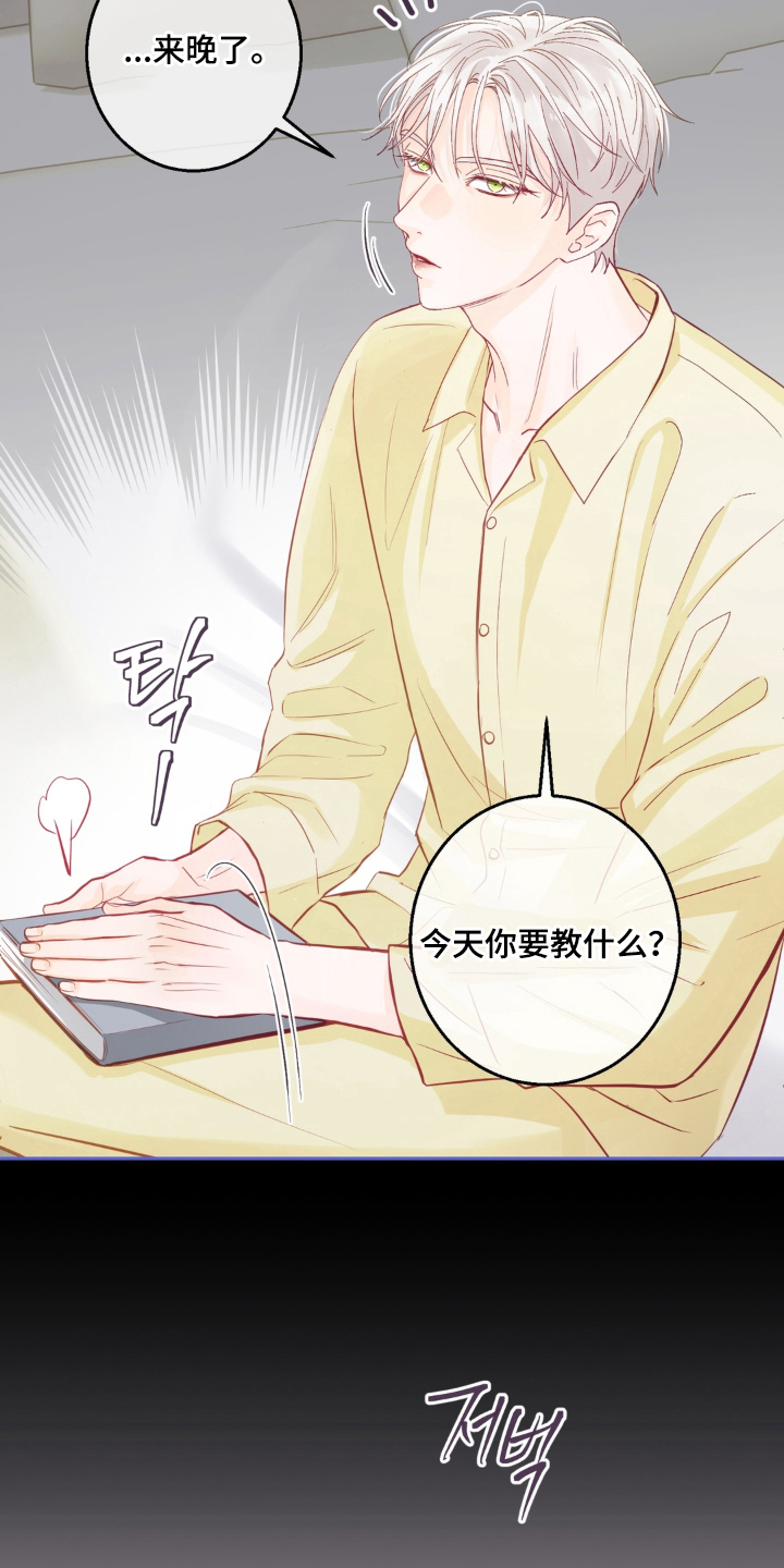 第16话：第16章：不错的表情预览分镜
