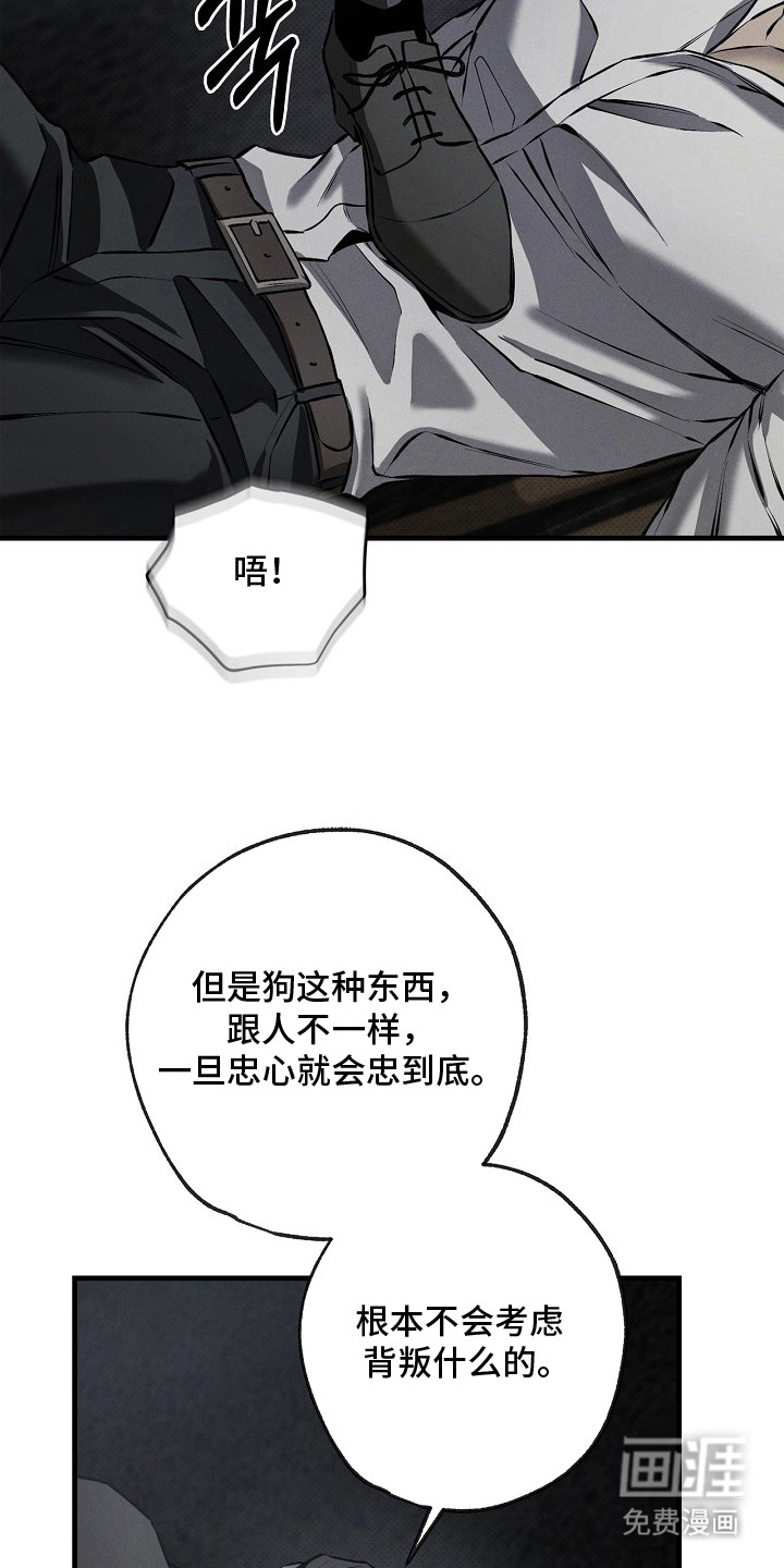 第6话：第6章：展示忠诚预览分镜