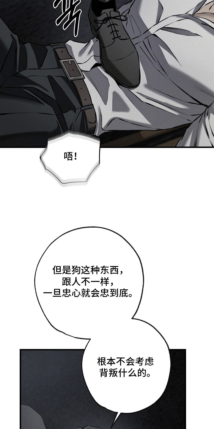 第6话：第6章：展示忠诚预览分镜