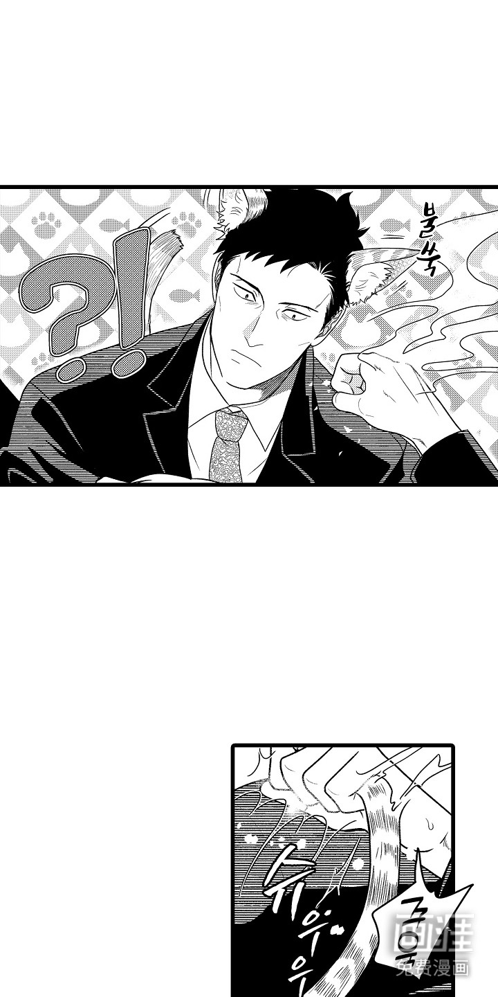 第17话：第17章：附身预览分镜