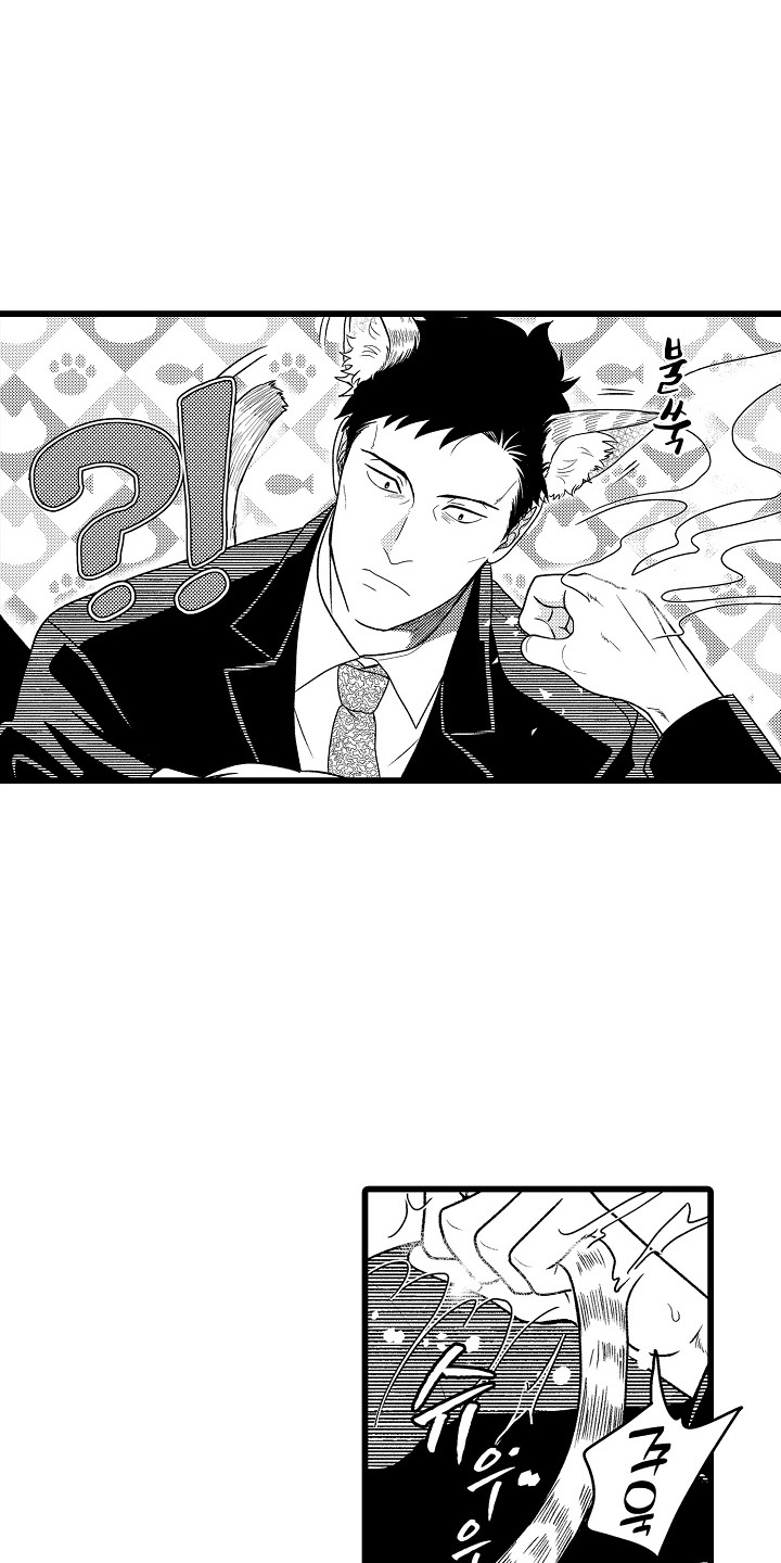 第17话：第17章：附身预览分镜