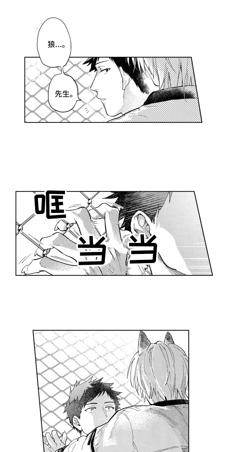 第6话：确认预览分镜