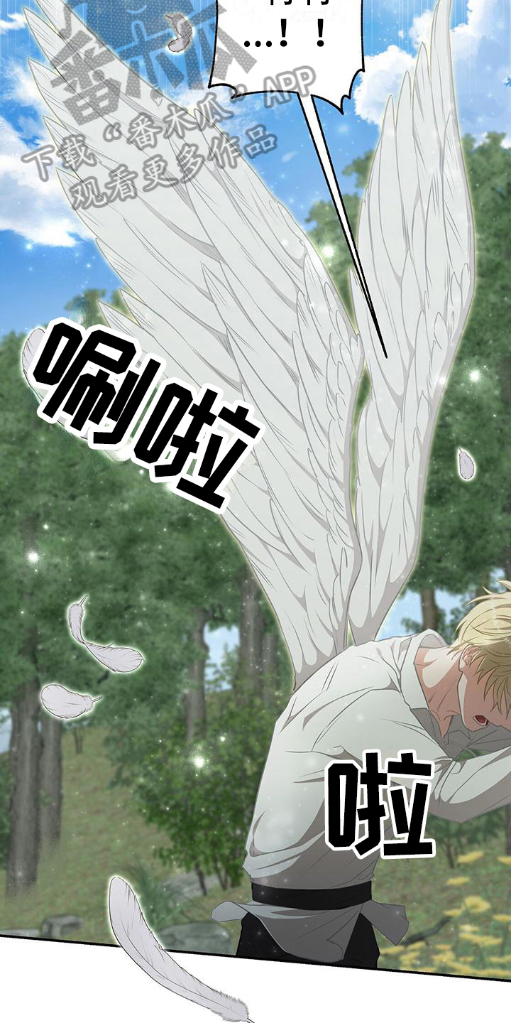 第9话：天人族预览分镜