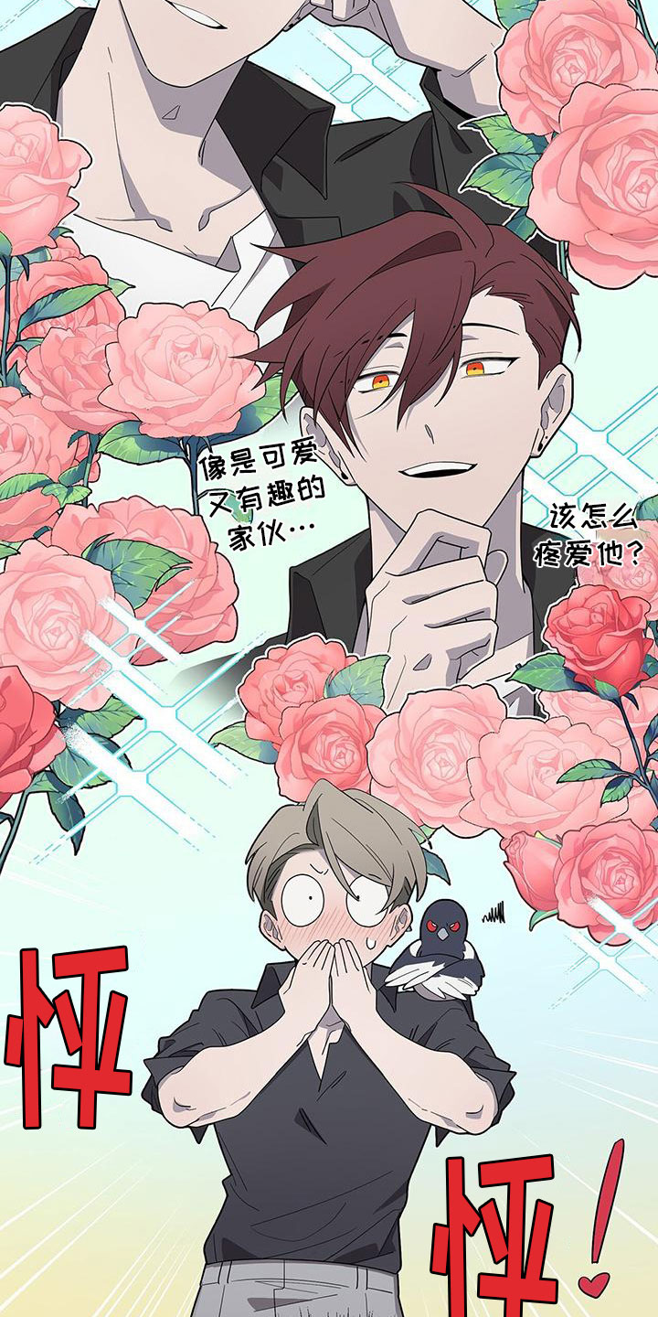 第3话：新邻居预览分镜